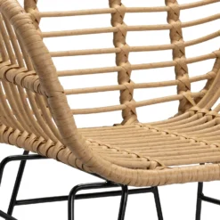 Ronnie Rattan Dining Chair - Set Of 2 -Furniture Series Sale 13644186 1804997056966623