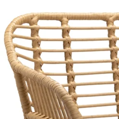 Ronnie Rattan Dining Chair - Set Of 2 -Furniture Series Sale 13644186 6854997056909860